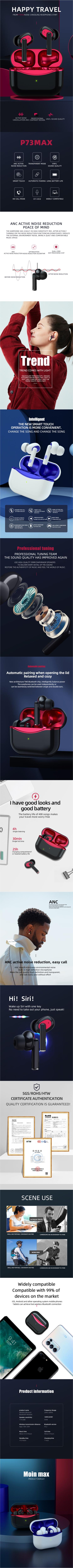 P73MAX英文详情